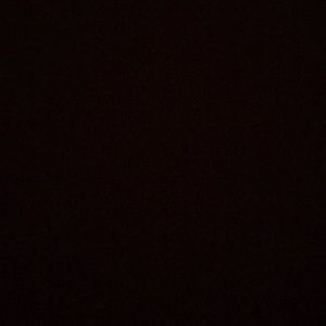 Meet your Posher, Travis